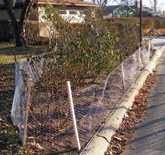 Winter street bed photo 2013_11300001_zps82db94b5.jpg